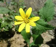 爱游戏官方网站 -服了bvxzzxcvbjhga